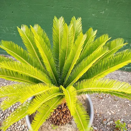 Bohoostel * Μπολόνια