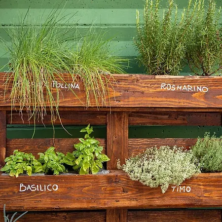 بيت شباب Bohoostel